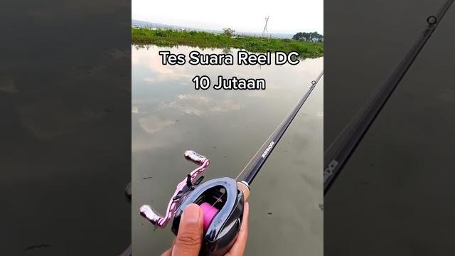 Reel dc 10jt vs bc 200k sound #fishing #mancing #shorts #versus #lucu #komedi #funny #casting Reel dc 10jt vs bc 200k sound #fishing #mancing #shorts #versus #lucu #komedi #funny #casting