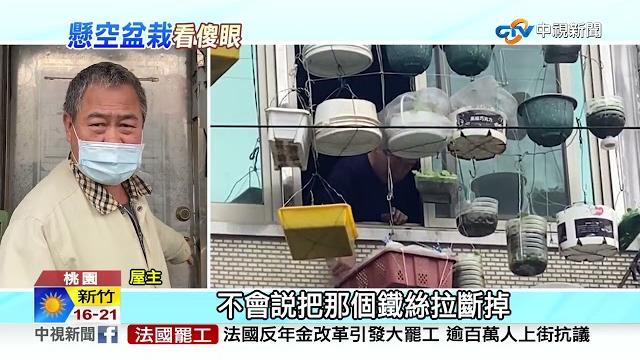 誇張!盆栽懸吊半空中 只靠"鐵絲"支撐 民眾看傻!│中視新聞 20230122 誇張!盆栽懸吊半空中 只靠"鐵絲"支撐 民眾看傻!│中視新聞 20230122