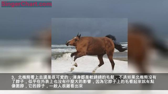 假如動物沒有脖子:看到長頸鹿,笑得噴了一口水 假如動物沒有脖子:看到長頸鹿,笑得噴了一口水