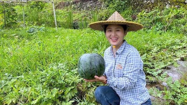 历经两月,摘下第一个西瓜,甜度十足,汁水丰盈 历经两月,摘下第一个西瓜,甜度十足,汁水丰盈