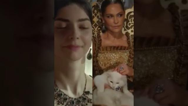 Nurbanu vs safiye. Nurbanu vs safiye.