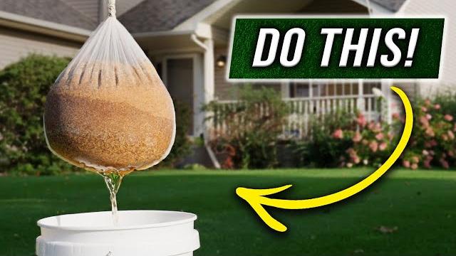 The fastest way to grow grass seed!! The fastest way to grow grass seed!!