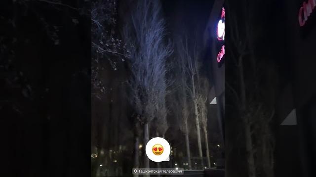 Чилла уйи Чилла уйи