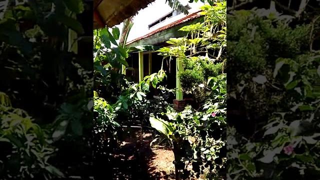 Iki mas yudiii Iki mas yudiii