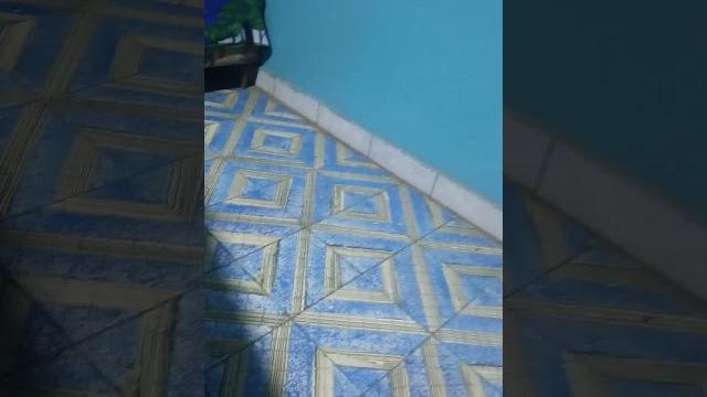 Investigation 0 mp4 Investigation 0 mp4