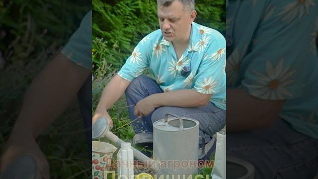 Запиши баковая смесь для клубники ведрами Запиши баковая смесь для клубники ведрами