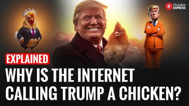Explained: taco trump meme explodes online what is it is the president chickening out on tariffs Explained: taco trump meme explodes online what is it is the president chickening out on tariffs