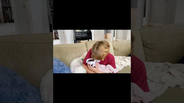 They thought they wanted a nephew… They thought they wanted a nephew…