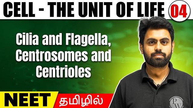 Cilia. flagella, centrosomes part 2 | cell - the unit of life- 05 | botany in tamil | class11/ neet Cilia. flagella, centrosomes part 2 | cell - the unit of life- 05 | botany in tamil | class11/ neet