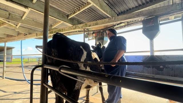 Back in the cowshed. didn’t take long. Back in the cowshed. didn’t take long.