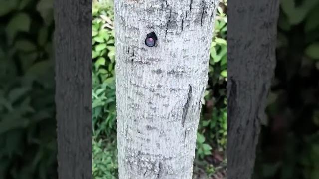 Product link in the comments! mini motion detection wireless night vision hd security camera Product link in the comments! mini motion detection wireless night vision hd security camera