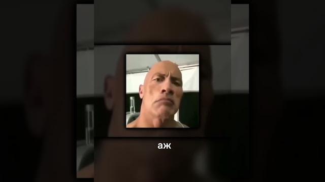 История мультика мишки гамми История мультика мишки гамми