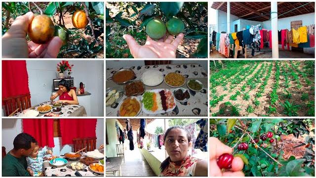 My morning was very busy i washed a lot of clothes and prepared lunch and a little from our plant... My morning was very busy i washed a lot of clothes and prepared lunch and a little from our plant...