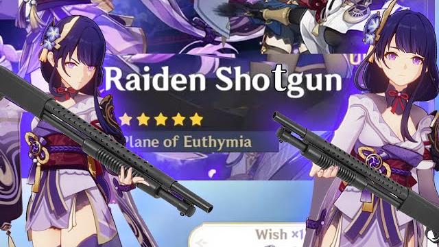 My raiden sho(t) gun wishes My raiden sho(t) gun wishes