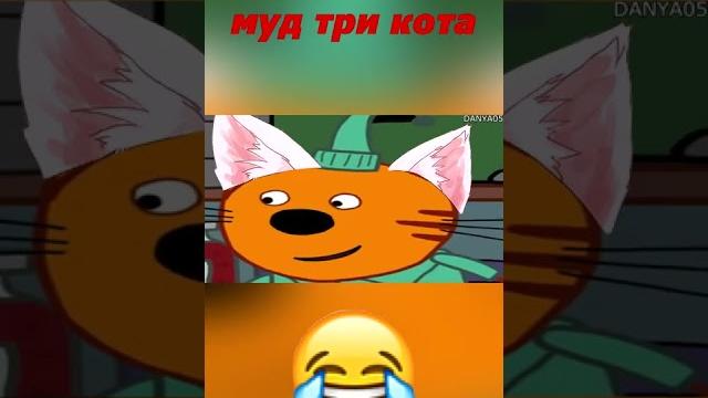 Муд три кота Муд три кота
