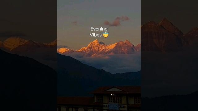 Vibes Vibes