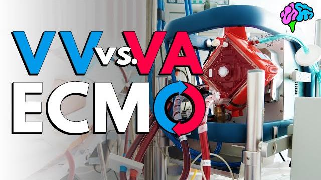 Vv vs va ecmo explained! Vv vs va ecmo explained!