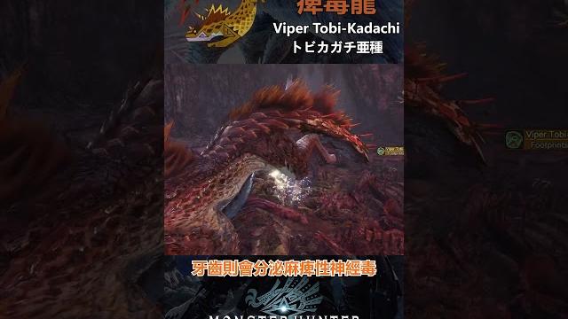 魔物圖鑑 35 痺毒龍 #mhw #魔物獵人 #魔物獵人世界 #魔物獵人世界冰原 魔物圖鑑 35 痺毒龍 #mhw #魔物獵人 #魔物獵人世界 #魔物獵人世界冰原