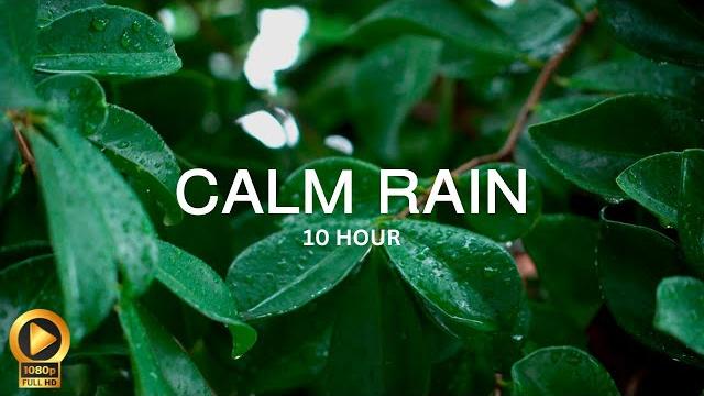10 hour | spiritual rain meditation | insomnia | study | focus | spa | calming background ambience 10 hour | spiritual rain meditation | insomnia | study | focus | spa | calming background ambience