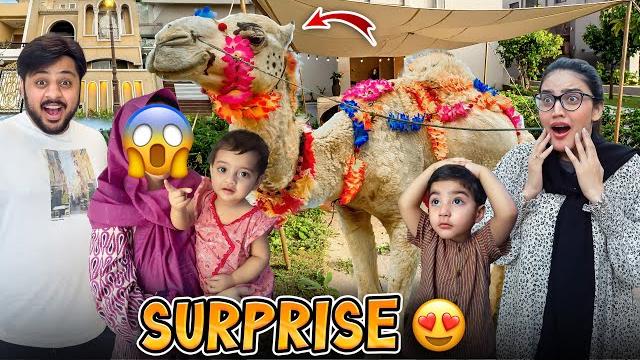 White camel py iqra & bhabhi ka reaction | camel k ghar ka intezam hogya |bachon ka rush lag gya White camel py iqra & bhabhi ka reaction | camel k ghar ka intezam hogya |bachon ka rush lag gya