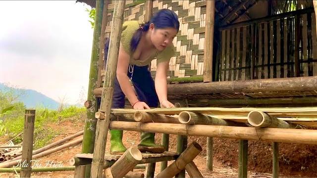 Country girl builds bamboo house alone in the wild forest - farm life - survival | ma thi hieu Country girl builds bamboo house alone in the wild forest - farm life - survival | ma thi hieu