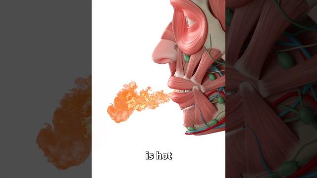 Why spicy foods make your mouth hot Why spicy foods make your mouth hot