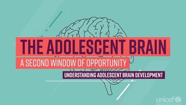 The adolescent brain: a second window of opportunity The adolescent brain: a second window of opportunity