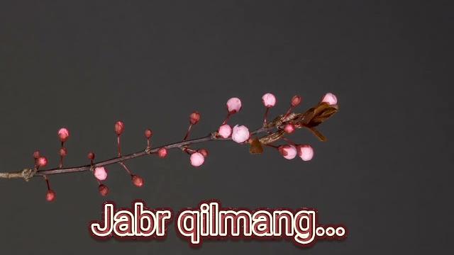 Sevgi, baxt, oila haqida sher... Sevgi, baxt, oila haqida sher...