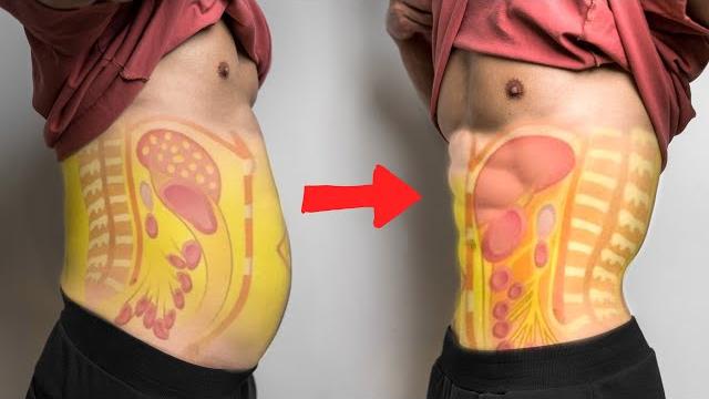 【减小腰围!】如何3步减掉内脏脂肪| how to lose visceral fat in 3 step! 【减小腰围!】如何3步减掉内脏脂肪| how to lose visceral fat in 3 step!