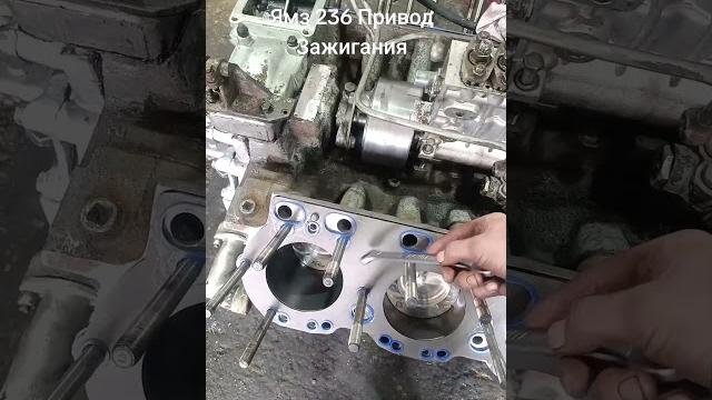 Привод тнвд ямз 236 238 Привод тнвд ямз 236 238
