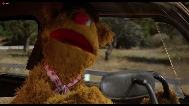 Fozzie bear: a bear in its natural habitat Fozzie bear: a bear in its natural habitat