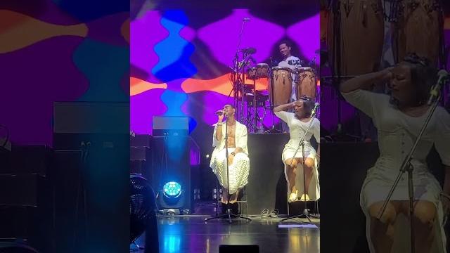 Solos with badu in bali. Solos with badu in bali.