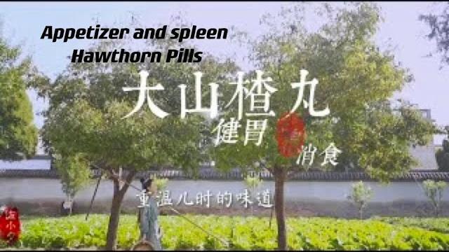 Appetizer and spleen hawthorn pills Appetizer and spleen hawthorn pills