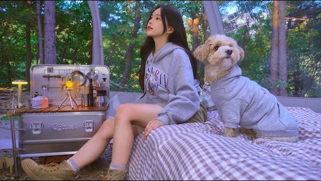 Deep mountain transparent tent surrounded by wood | smoked chicken legs | puppy and couple look Deep mountain transparent tent surrounded by wood | smoked chicken legs | puppy and couple look