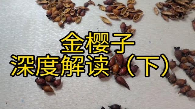 金樱子 深度解读 教你一些你能用到的知识金樱子 深度解读 教你一些你能用到的知识 金樱子 深度解读 教你一些你能用到的知识金樱子 深度解读 教你一些你能用到的知识
