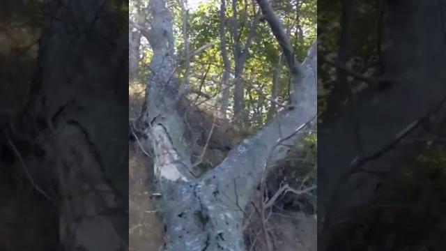 Мыс песчаный. Мыс песчаный.