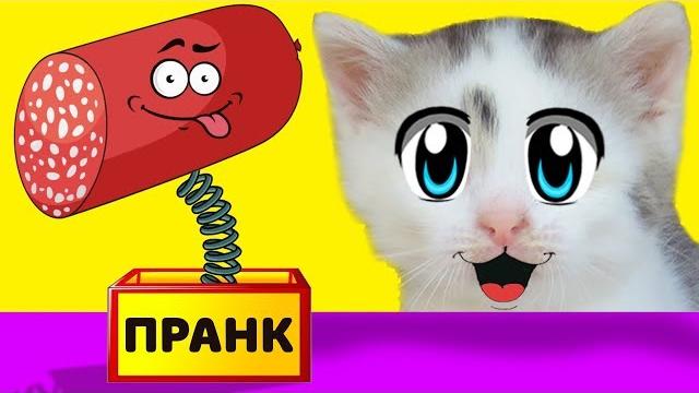 Летние пранки над котами! новые приколы для пары кот и кошечка! 3 смешных пранков над друзьями Летние пранки над котами! новые приколы для пары кот и кошечка! 3 смешных пранков над друзьями