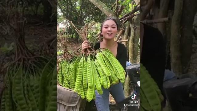 Bu lurah ici jualan petey /peuteuy Bu lurah ici jualan petey /peuteuy