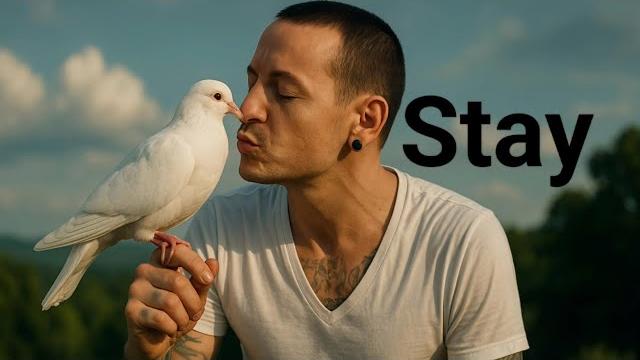 Chester bennington: stay (ai song) Chester bennington: stay (ai song)