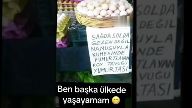 Namuslu yumurta#komik #komikvideolar #komikmizah #komikanlar#eğlence #500subs #youtube #gülünç Namuslu yumurta#komik #komikvideolar #komikmizah #komikanlar#eğlence #500subs #youtube #gülünç