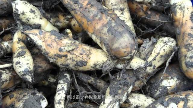 Chord&major 音符之外(三) 種出一片輕快的生活 - 活動說明影片 Chord&major 音符之外(三) 種出一片輕快的生活 - 活動說明影片