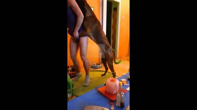 The worst thing is to have a zoophile dog! The worst thing is to have a zoophile dog!