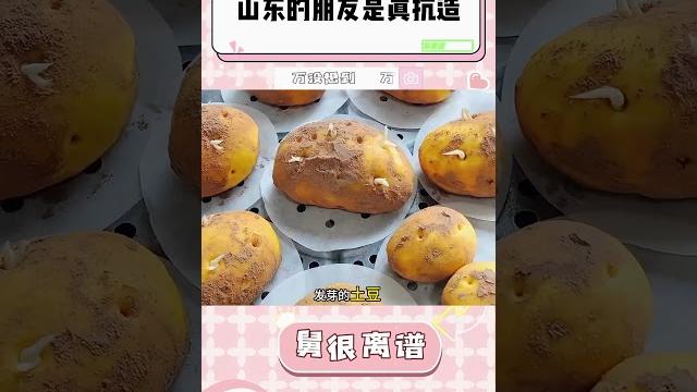 山东的朋友是真抗造啊! 山东的朋友是真抗造啊!