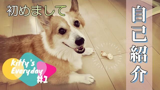 キティさんの日常#1 おやつの時間 キティさんの日常#1 おやつの時間