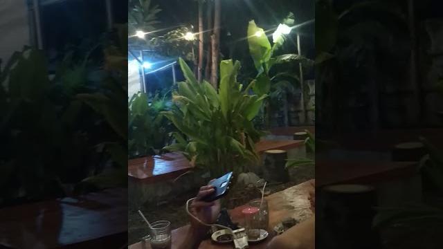 Susu perawan Susu perawan