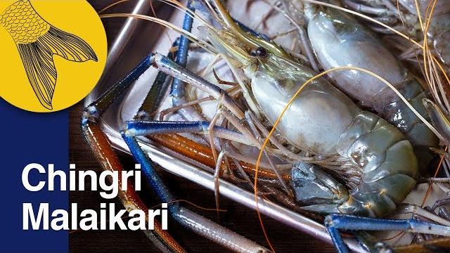 Chingri malaikari recipe—bengali prawn malai curry—bengali prawn curry—noboborsho special Chingri malaikari recipe—bengali prawn malai curry—bengali prawn curry—noboborsho special