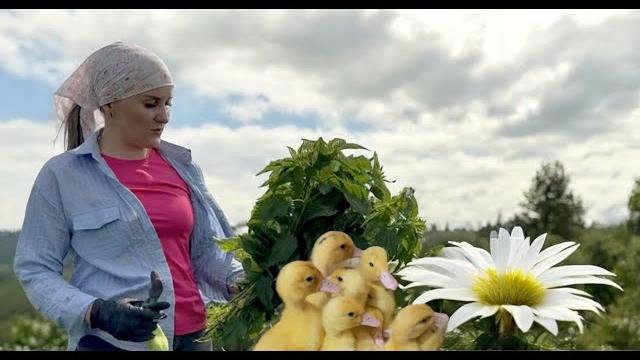 Деревенька наша/новые жильцы в хозяйстве/борьба с сорняками/легкий суп/гости на троицу/"сухой пруд" Деревенька наша/новые жильцы в хозяйстве/борьба с сорняками/легкий суп/гости на троицу/"сухой пруд"