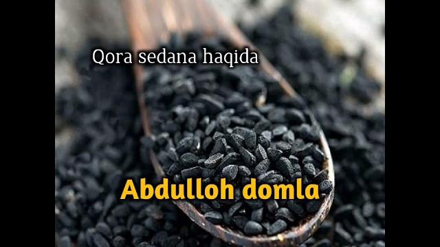 Abdulloh domla qora sedana haqida Abdulloh domla qora sedana haqida