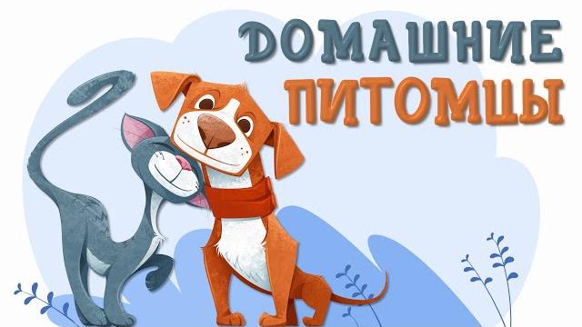 Домашние питомцы. коты и собаки. детям о животных. Домашние питомцы. коты и собаки. детям о животных.