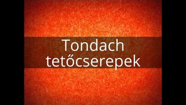 Tetőcserepek széles választéka Tetőcserepek széles választéka